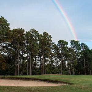 golf course foxfire