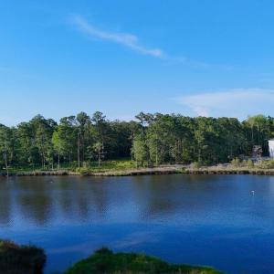394 Bay Shores Rd