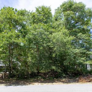 101 SW 17th-14