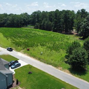 Paved Neighborhood Road