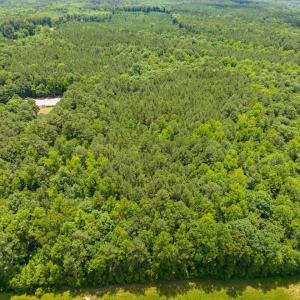 12-012-Chatham-Parcel-17778-JBMorgan-202