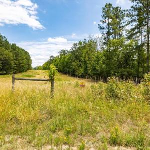 29-029-Chatham-Parcel-17778-JBMorgan-202