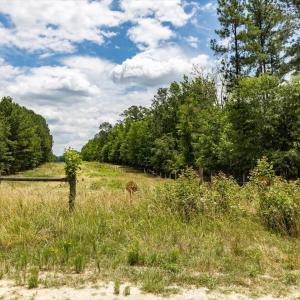 30-030-Chatham-Parcel-17778-JBMorgan-202