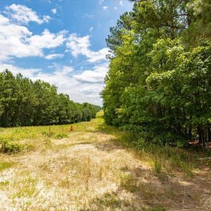 31-031-Chatham-Parcel-17778-JBMorgan-202