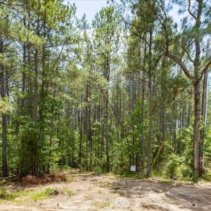 36-036-Chatham-Parcel-17778-JBMorgan-202