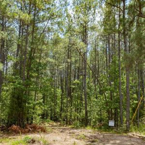 37-037-Chatham-Parcel-17778-JBMorgan-202