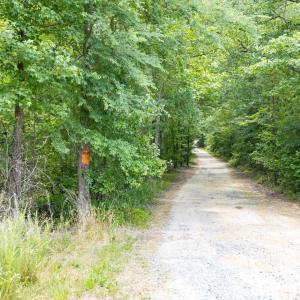 38-038-Chatham-Parcel-17778-JBMorgan-202