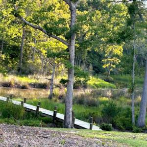 Photo #2 of 98 Bridgewater S, Bath, NC 1.3 acres
