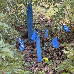 Water and Sewer in Place