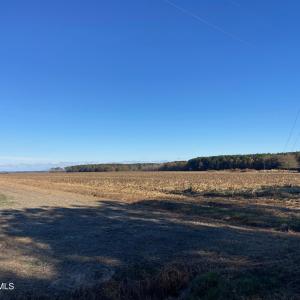 IMG_7536
