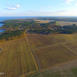 IMG_1079
