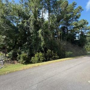 .46 acre lot, Cordgrass #9