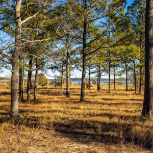 Plantation Estates Lot-1