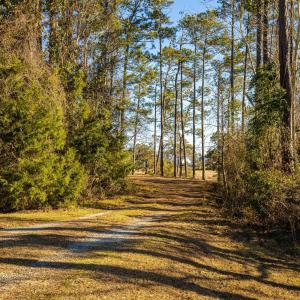 Plantation Estates Lot-3