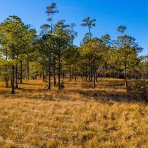 Plantation Estates Lot-26