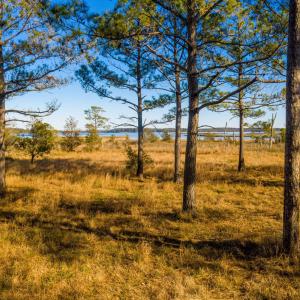 Plantation Estates Lot-27