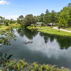 Pond
