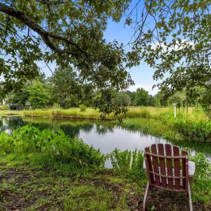 Pond