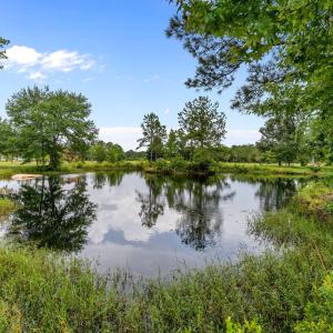 Pond