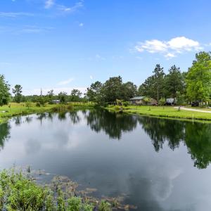 Pond
