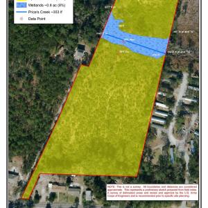 PreliminaryWetlandDelineationSketch