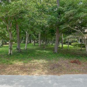 426LakeShoreDr - 2