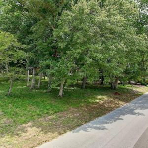 426LakeShoreDr - 1