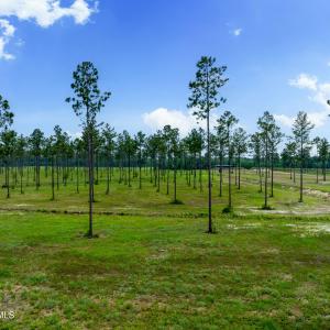 Lot 25 Kingbird MLS-13