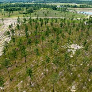 Lot 25 Kingbird MLS-7