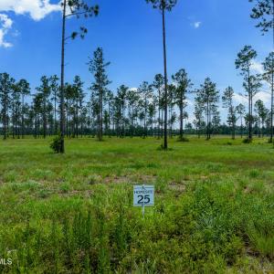 Lot 25 Kingbird MLS-1