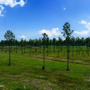 Lot 25 Kingbird MLS-18