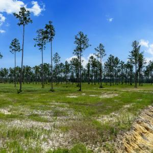 Lot 25 Kingbird MLS-11