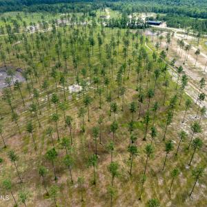 Lot 25 Kingbird MLS-9