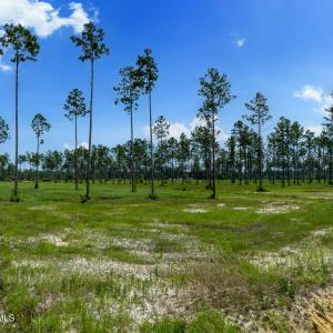 Lot 25 Kingbird MLS-22