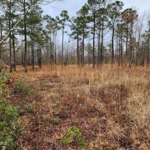 8055-US-17-Vanceboro-NC