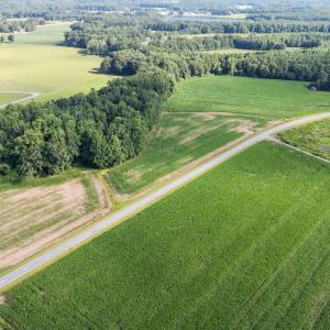 9-web-or-mls-DJI_20250721092330_0474_D