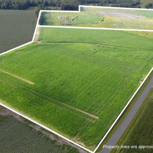 1-web-or-mls-DJI_20250721092021_0471_D_1