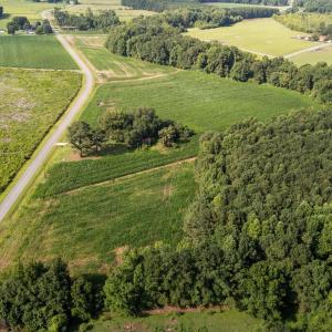 12-web-or-mls-DJI_20250721092622_0477_D