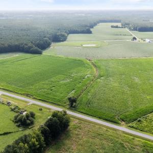 5-web-or-mls-DJI_20250721091916_0470_D