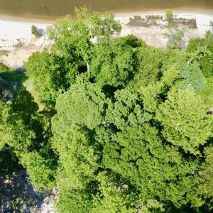 DJI_0827