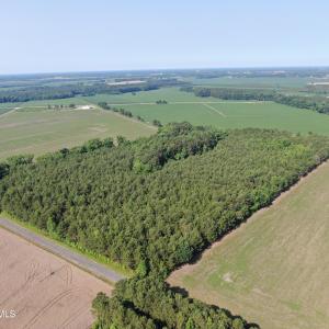 DJI_0783
