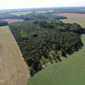 DJI_0793