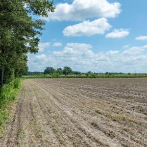 0OberryRd-DudleyNC-16