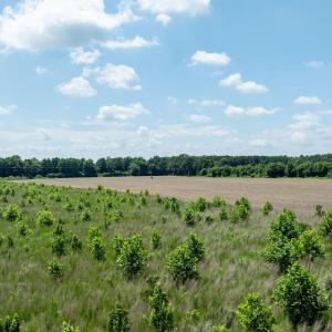 0OberryRd-DudleyNC-18