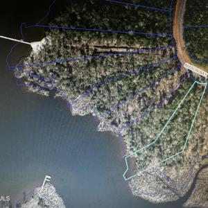 GIS View