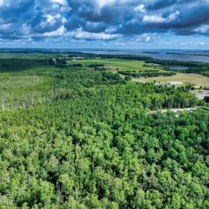 DJI_20250710092453_0737_D_3