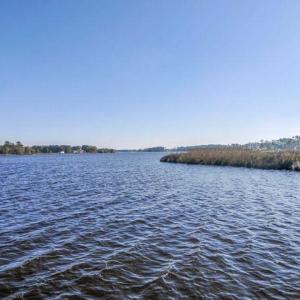 Pungo creek 02