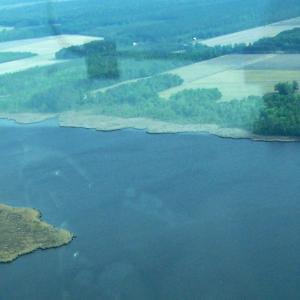 Pungo Creek
