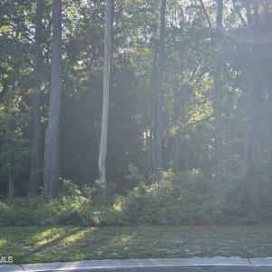 IMG_0725