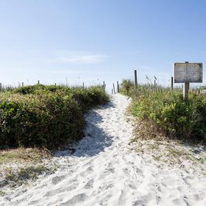 HamptonColonybeachaccess7.2025L33A9557 c